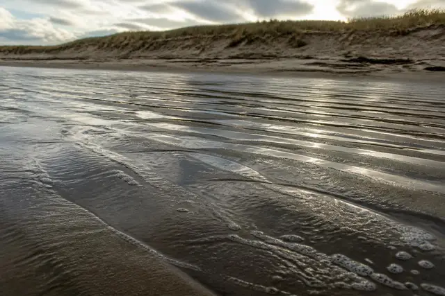 Bande de sable humide découverte par la marée basse, rides de sable et trace d'écume